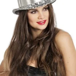 Overig Hoge Hoed Metallic Zilver Met Pailletten